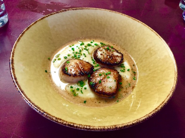 Vin 909 Winecafe - scallops