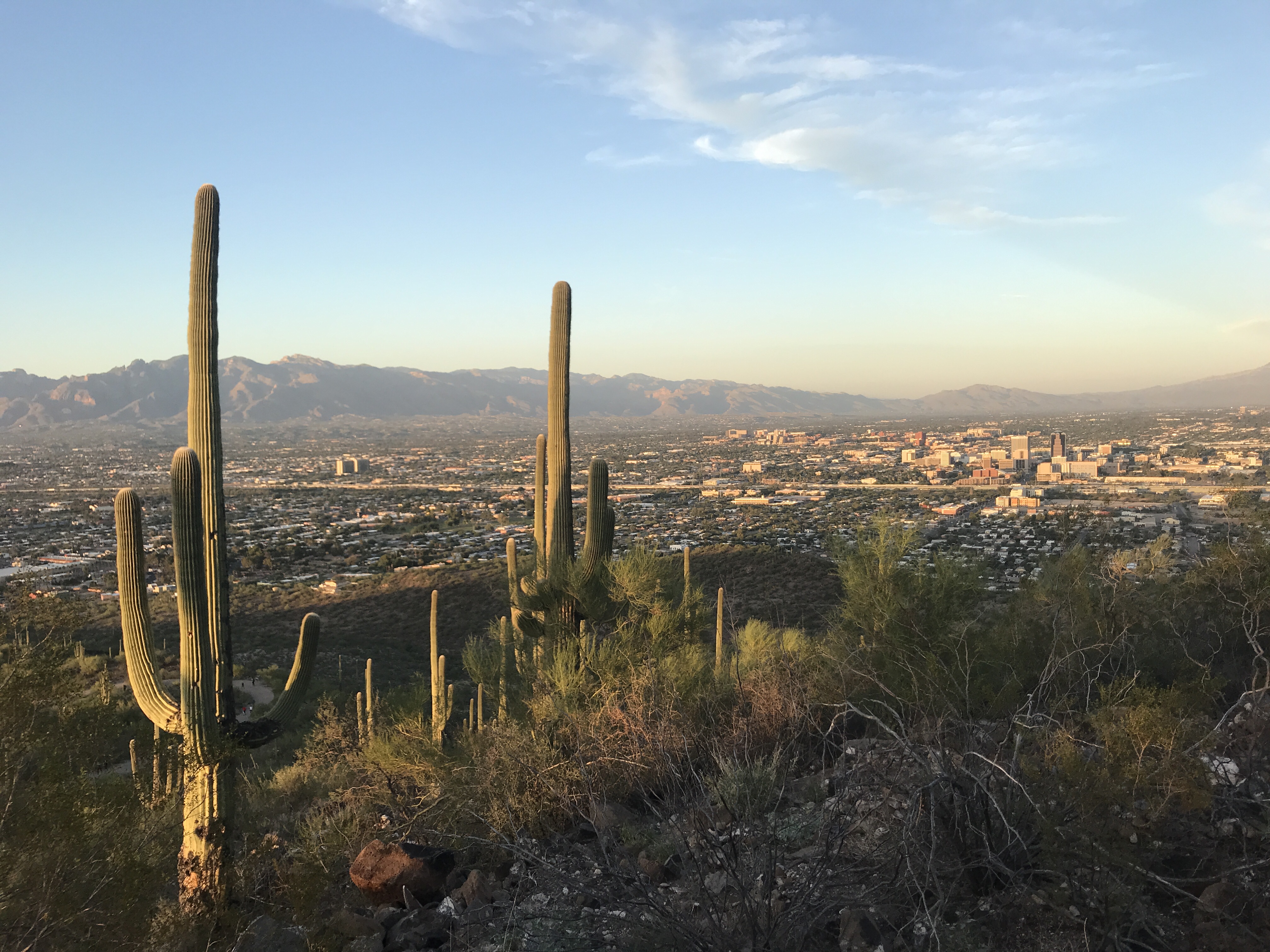 View from the top of our hike at Tumamoc Hill in Tucson, Arizona