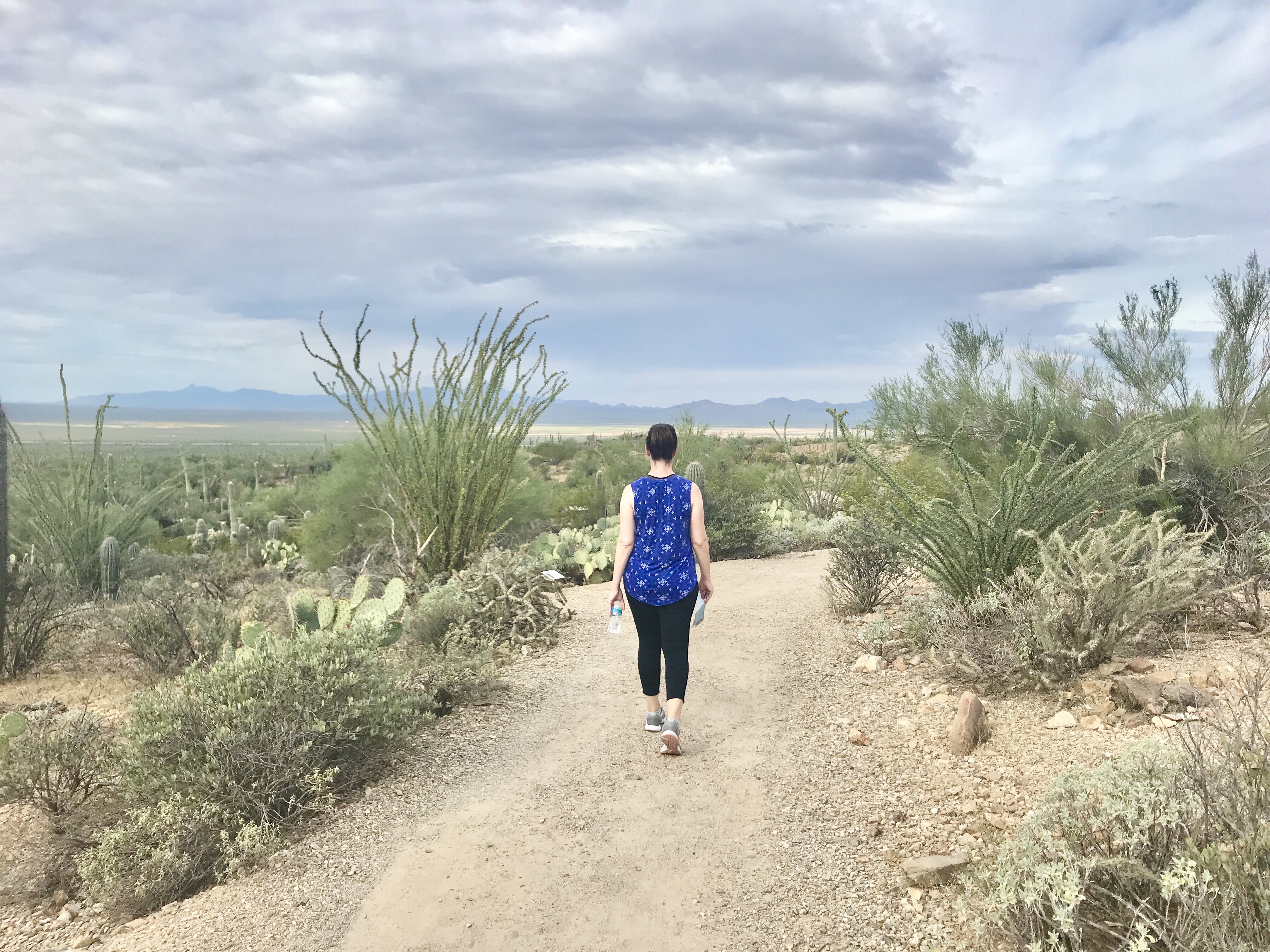 Marnay walking at the Arizona-Sonora Desert Museum in Tucson, Arizona